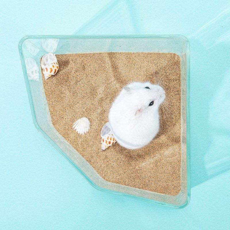 仓鼠浴房金丝熊浴室用品亚克力全透明大号厕所两用洗澡浴沙尿沙盆