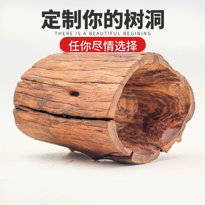 鱼缸树洞躲避屋南美缸沉木造景摆件草缸紫柚木头树桩乌龟晒台爬台