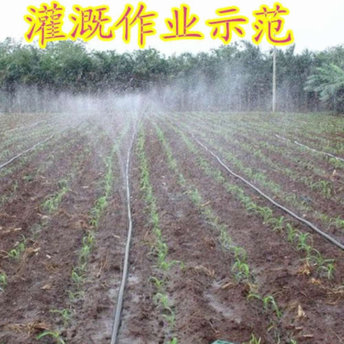 极速水带温室管子田地喷淋软管园林喷灌带溉农业浇地蔬菜胶管带孔