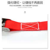 甬宁小型304316不锈钢棘轮紧绳器捆绑带汽车用拉紧器收紧器直销