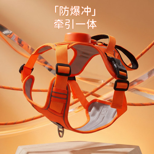 【伸缩牵引一体】狗狗胸背牵引绳