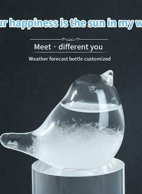 European Style Weather Forecasts Bottles Bird Shape Gifts