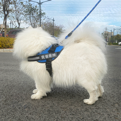 狗狗牵引绳遛狗绳子背心式萨摩耶阿拉斯加金毛中大型犬狗链胸背带