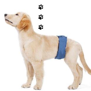 Washable Male Dog Diaper with Belly Band Design Durable