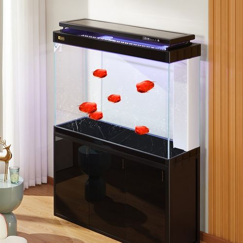 中小型鱼缸家用客厅生态底滤超白入户门隔断玄关免换水水族箱