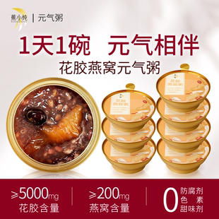 7碗鱼胶即食滋补胶原蛋白送礼 元 气粥 蕉小炖花胶燕窝粥168g