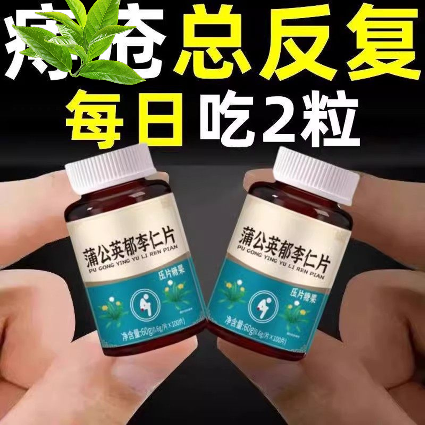 【痔内疮外疮混合】大便疼痛菊花突出长年有庤蒲公英郁李仁片