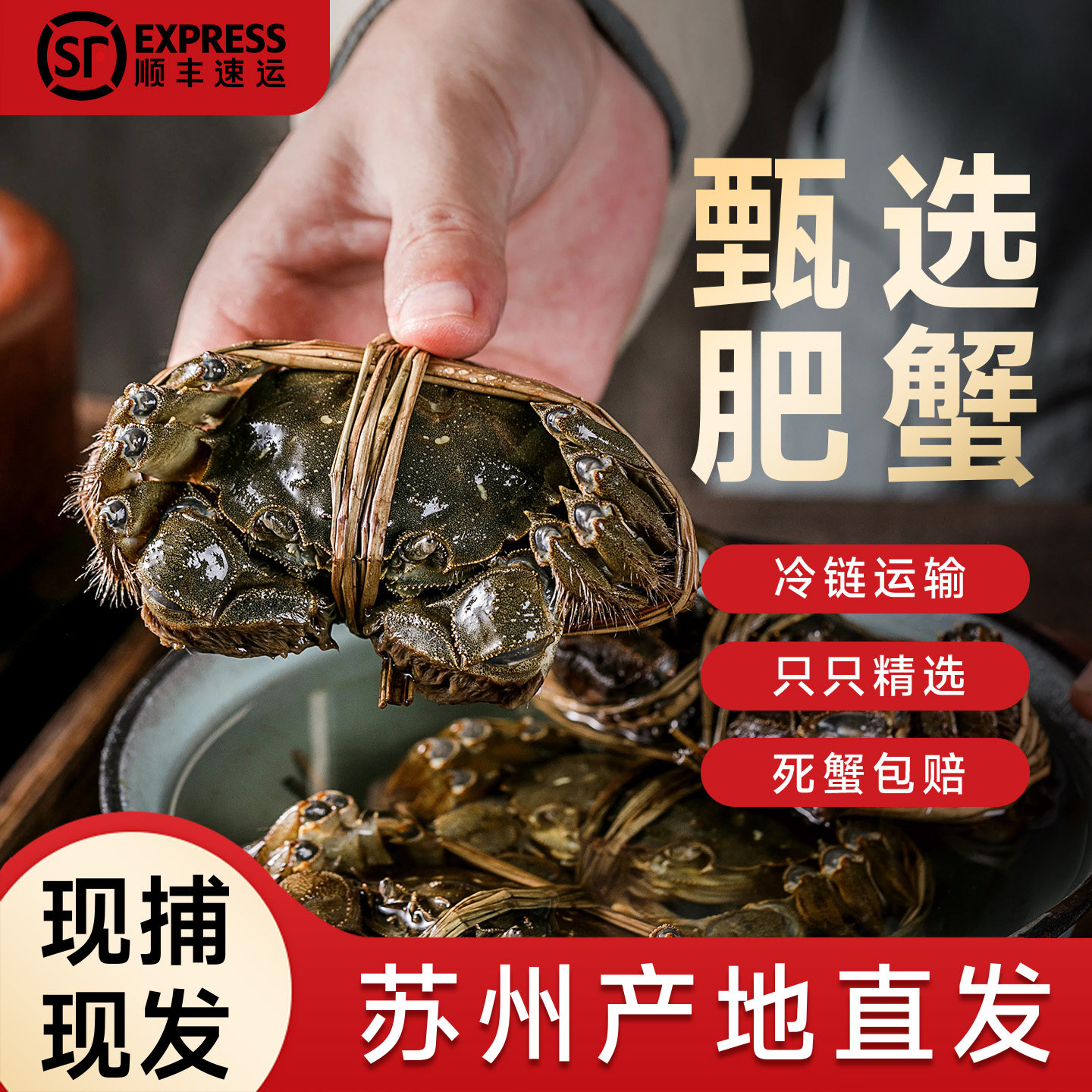 活蟹苏州大闸蟹鲜活特大螃蟹正宗阳澄新鲜湖蟹官方精品全母河蟹