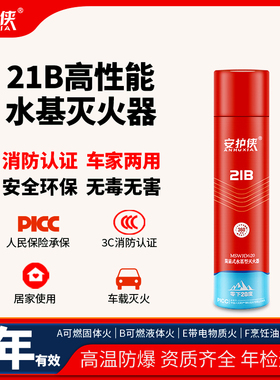 便携式水基型灭火器高温防爆低温防冻可灭电火车载家用水基灭火器