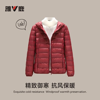 2025冬季轻薄羽绒服女薄款