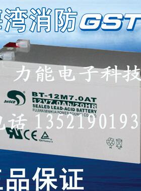 原装海湾气体灭火控制器蓄电池12V7AH/20HR消防主机备用电源电池