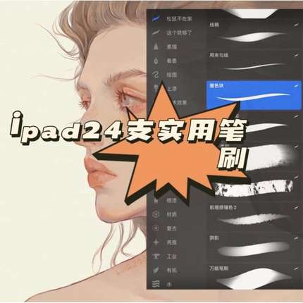 procreate24支全套超实用笔刷人物色彩材质纹理感起稿松鼠不|笔刷
