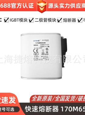 170M6546170M6548快速熔断器保险丝电子元器件量大价优