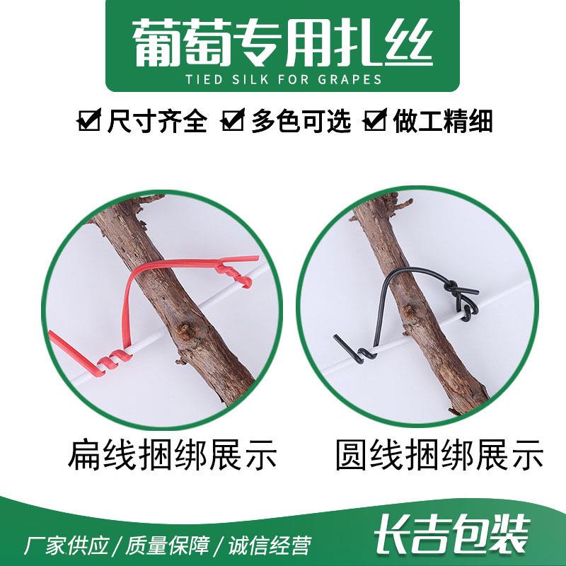 0.猴5圆扁葡萄扎丝镀锌铁丝园林扎带猕桃葡萄枝QYF条捆绑5扎丝