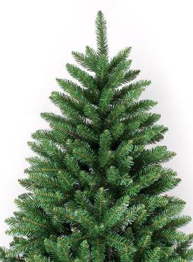 m户外P加密装饰绿色仿真型圣诞树cVC大商场节日装ETL饰自动树