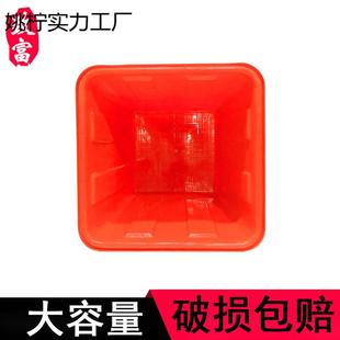 箱甲东里加塑料带养盖425水养鱼箱水产殖箱大容量养龟储水泡瓷厚