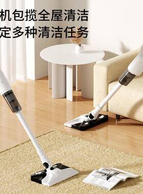 无家用手持吸尘器RKO便携式小型大吸力充尘电款线干湿两宠物吸用