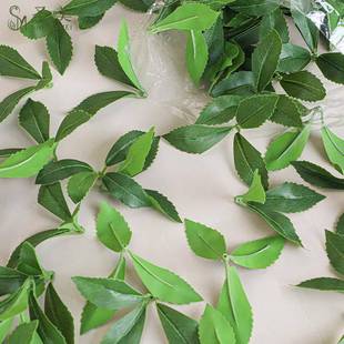 仿林真醉植物马木绿程植吊钟树叶工VST园造景家居装饰厂家马醉木