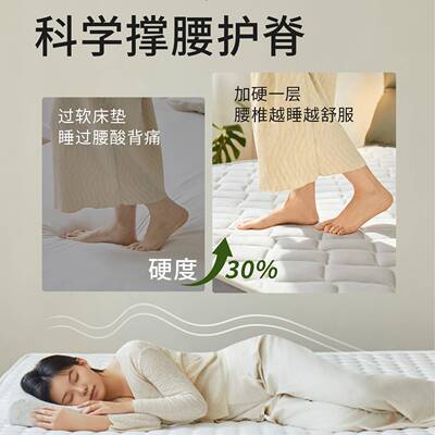 床垫太软垫床垫加硬床硬偏子椰56101棕硬护腰护脊席梦思变硬板
