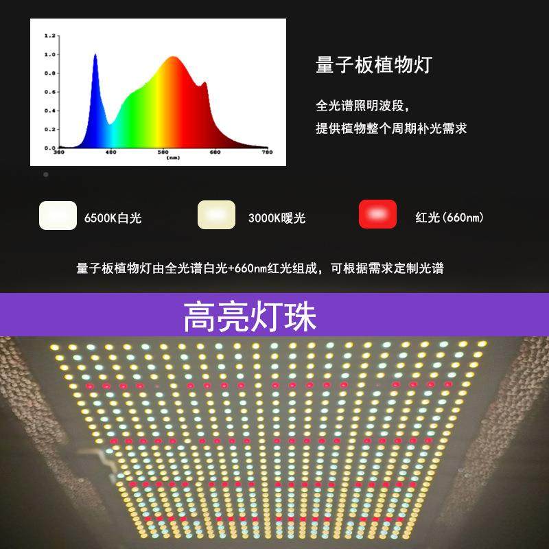 棚生长WGR灯10W量子板植物灯草番茄西红柿大LED全光谱0多肉补光莓,家装灯饰光源,植物生长灯,淘宝优惠券,粉丝福利购,淘宝优惠卷