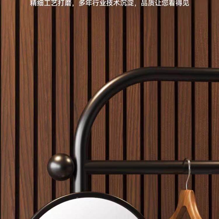 网全红CPQ镜动一体衣帽架落身地卧室试衣穿衣镜可移复古挂衣架子
