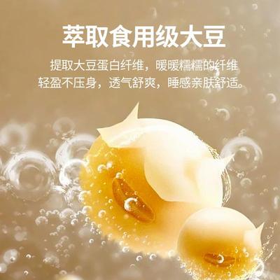 厂家直销季豆被冬被被a类母大婴级原棉被子被芯四通用春DDB001秋