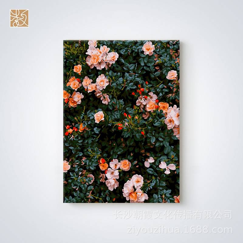 数字油画填色数字画手工填色画手绘涂色名画系列装饰画5070带内框