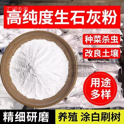 生石灰粉杀虫种菜消毒除湿