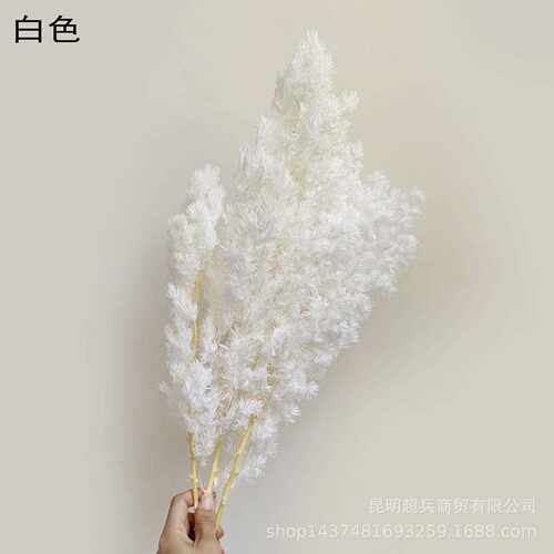 新款直销永生花蓬莱松干花 圣诞松 花瓶花束配花
