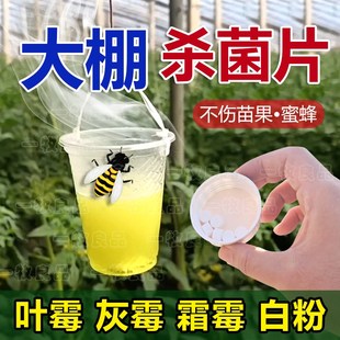 大棚空气消毒片大棚花卉蔬菜草莓剂农用叶霉灰霉霜霉白粉