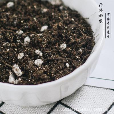 新款直销兴农育苗基质营养土大量育苗土花卉蔬菜专用多肉辣椒西瓜