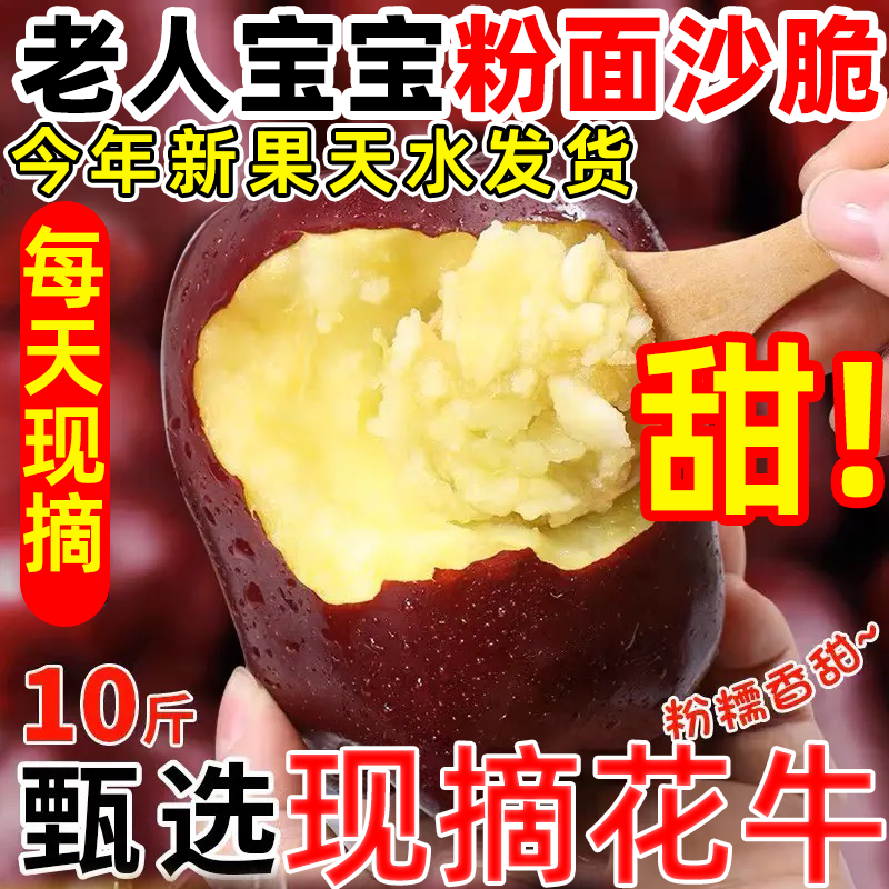 每天7点起，天水产地直播，口感越放越粉面