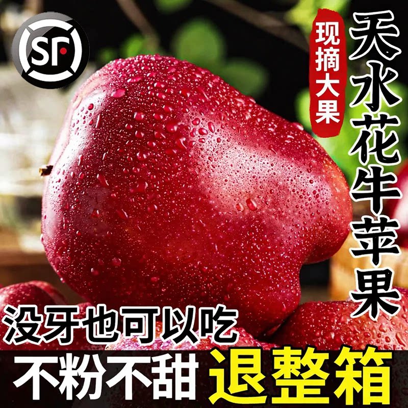 顺丰甘肃天水正宗花牛苹果蛇红果婴儿老人宝宝粉面沙甜脆新鲜水果