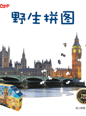 美国MADDCAPP成人解压玩具高难度异形拼图-350片大本钟建筑系列