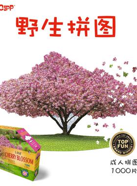 美国MADDCAPP成人版高级感1000片十级高难度异形野生拼图-樱花树