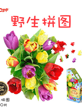 美国MADDCAPP益智高难度成人解压潮玩350片异形