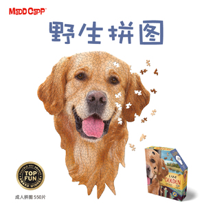 美国MADDCAPP益智拼图高难度成人解压潮玩异形野生拼图-550片金毛