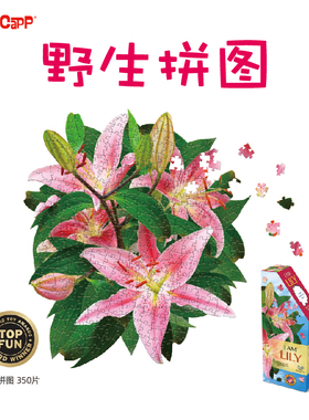 美国MADDCAPP成人解压玩具高难度异形拼图-350片百合花