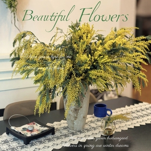 （金合欢）鲜花鲜切花家庭办公室内水养插花云南基地直发