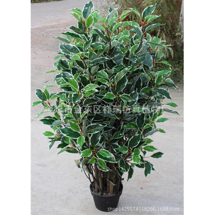 仿真植物假树盆栽白香樟树叶 1.2米落地盆景客厅店铺装饰摆设