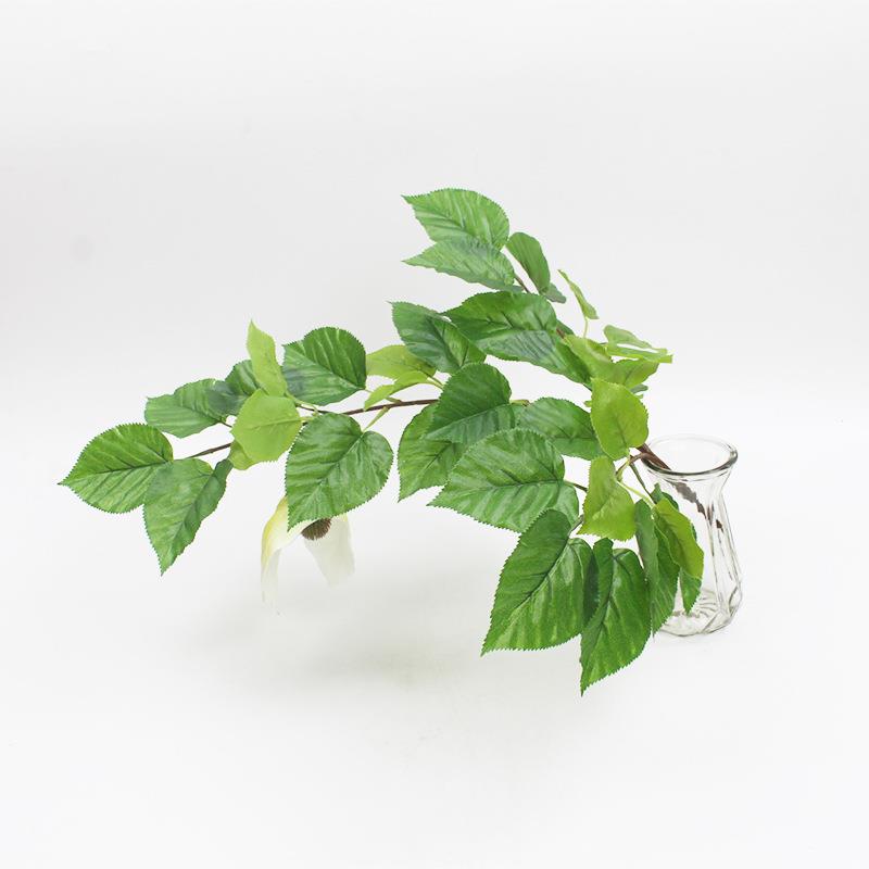 仿真绿植珙桐叶仿真树叶珙桐花鸽子树珙桐树工程园林造景厂家