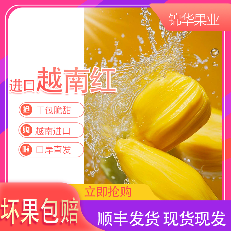 正宗进口越南红肉菠萝蜜应季一整个新鲜水果黄心干苞脆甜包邮
