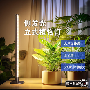 Barrina佰利纳桌面植物补光灯彷太阳全光谱室内绿植专用生长灯