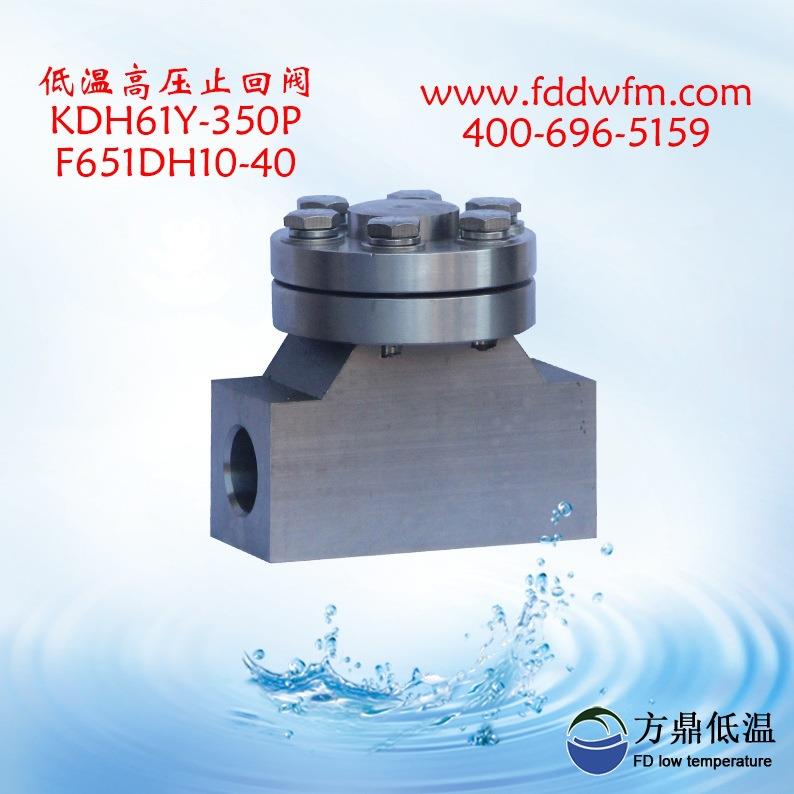 KDH61Y-250P低温止回阀 低温不锈钢止回阀