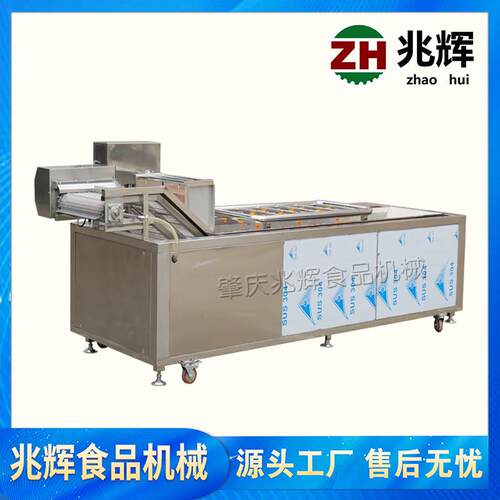洗厂家直供大型蔬果气泡菜机输ZH-WQX33送式菜机洗桔子芒果输送式