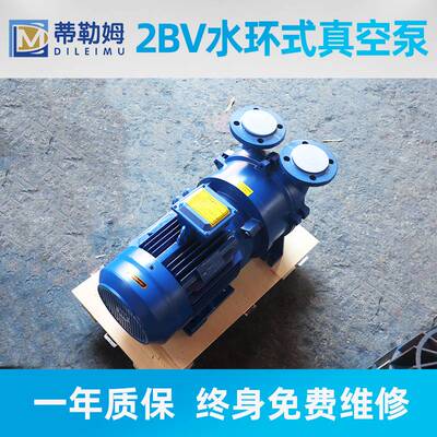 2BV水环式真空泵 工业用2BV5121型不锈钢叶轮高真空水循环真空泵