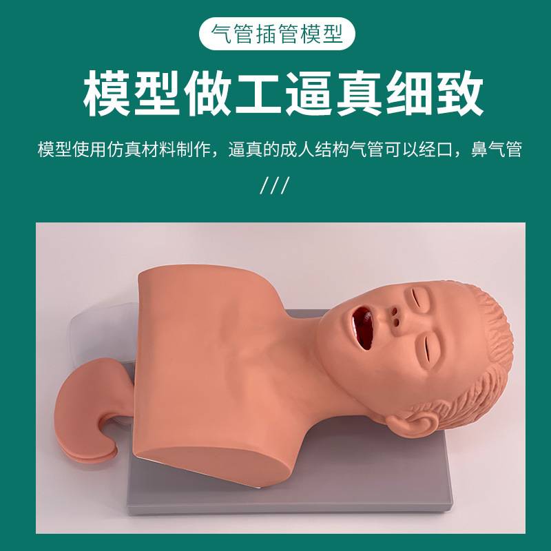成人气管插管训练模型 牙齿报警 人体电子气管插管训练模型 J5s