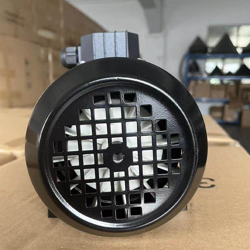 AAOT--PUEMP高温模温机水泵AT-AOFTA1FAT-A2F奥特油泵无品牌/包邮