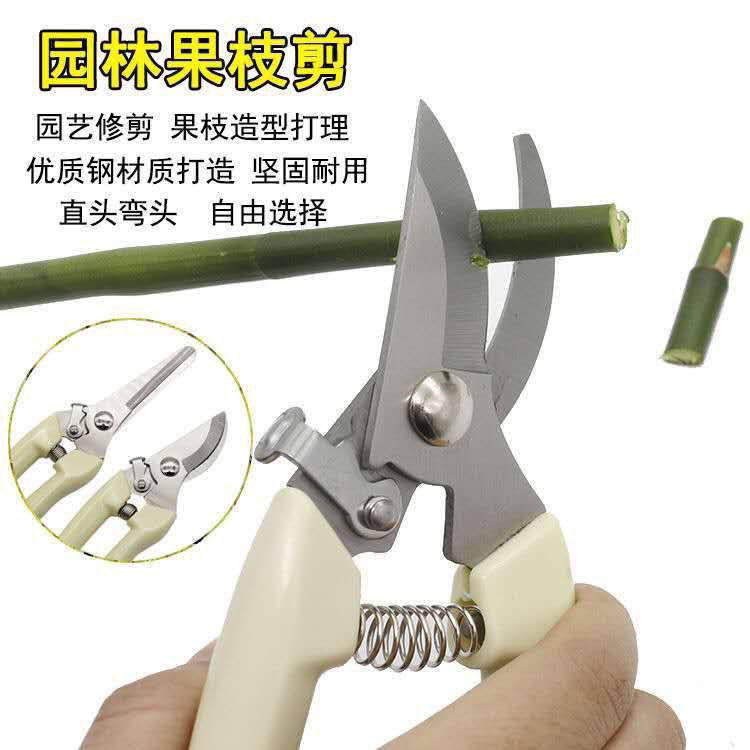 修建花枝剪刀德国进口钢