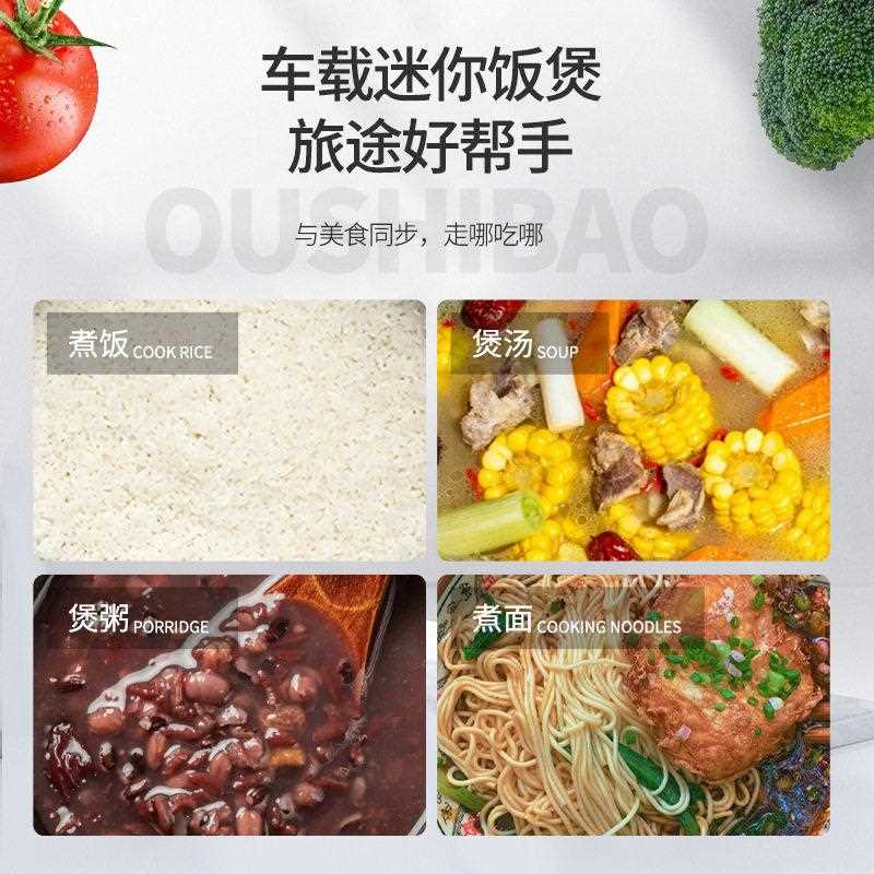 新款直销欧之小型迷你车载电饭煲 电源智能按键式连体煲电饭煲